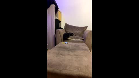 Snapshot of dickparceldick chatting on 05.29.26 dickparceldick online show from 05.29.26