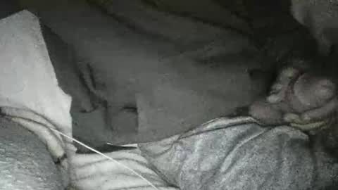 dick online show from 01.10.25