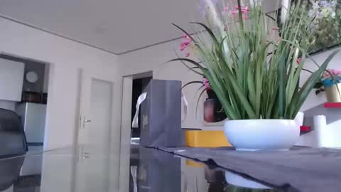 squirtcock online show from 01.11.26