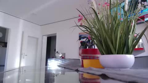 squirtcock online show from 03.02.26