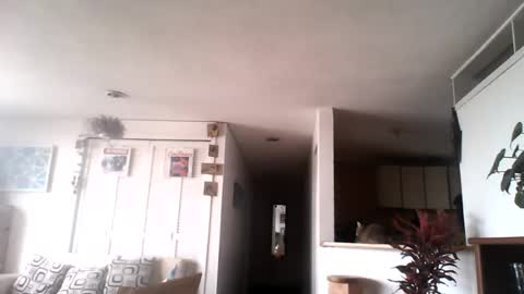 Snapshot of diego_incubo_ii chatting on 07.15.26 diego_incubo_ii online show from 07.15.26