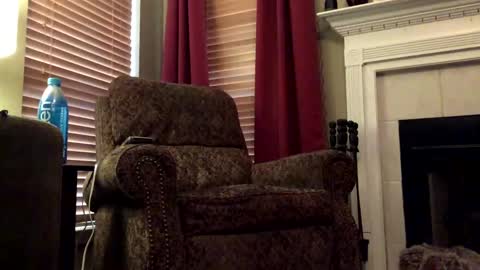 diegodavids online show from 01.31.25