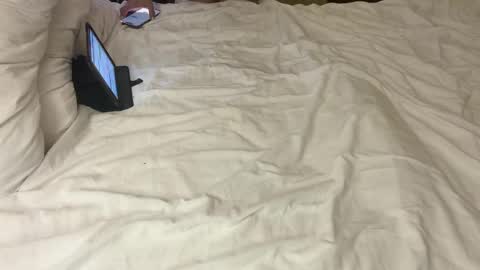 Dielitas online show from 04.06.26