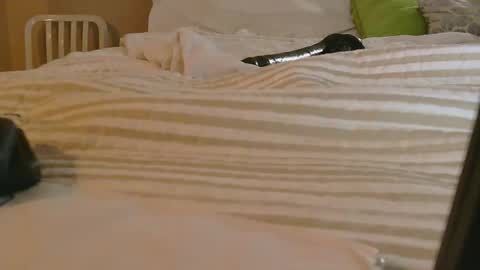 dildosnme22 online show from 02.09.26