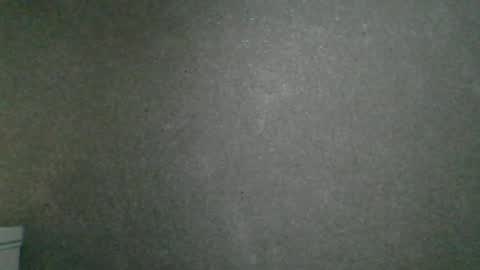 Snapshot of dimasvit5306 chatting on 06.13.26 dimasvit5306 online show from 06.13.26