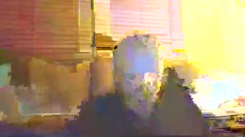 dingleberryjonesmagee online show from 10.25.25