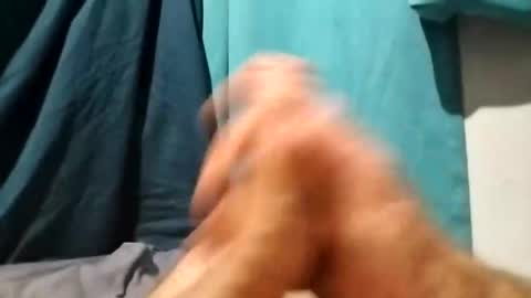 dingo_250 online show from 10.12.25