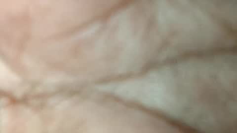 dyno online show from 11.17.25