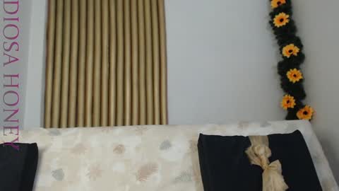 Snapshot of diosa_honey chatting on 01.28.25 Diosa online show from 01.28.25