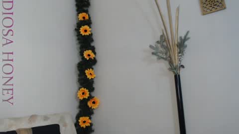 Snapshot of diosa_honey chatting on 01.29.25 Diosa online show from 01.29.25