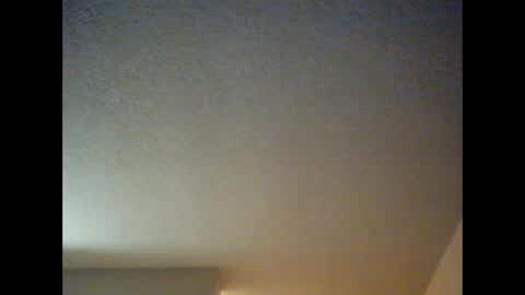 DIPSTIK online show from 12.08.24