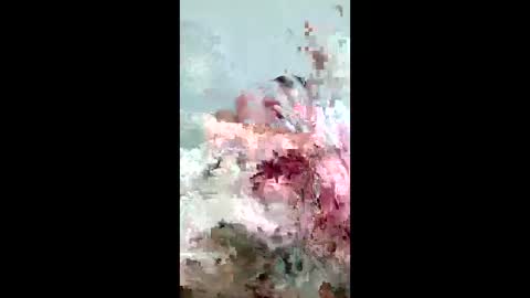 Mejustme online show from 06.04.26