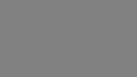 Your Best Worst Nightmare online show from 01.26.25