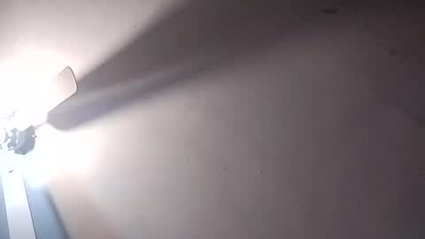 Snapshot of dixonbird41 chatting on 02.25.25 dixonbird41 online show from 02.25.25