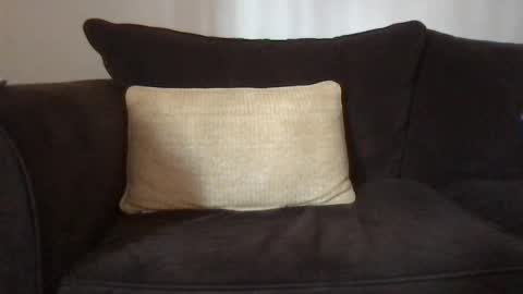 Dizzydig online show from 01.25.25