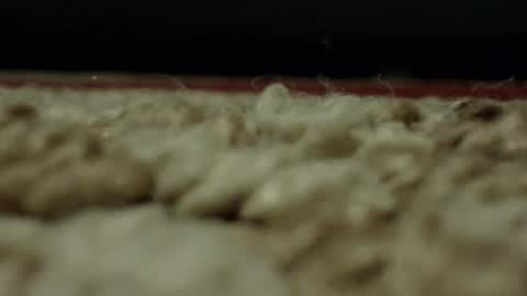 Snapshot of djwats chatting on 02.24.25 Mmmmgood online show from 02.24.25