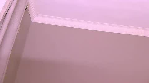 DMAN online show from 12.11.24