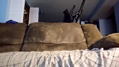 Snapshot of dogbone999081 chatting on 12.03.25 dogbone999081 online show from 12.03.25