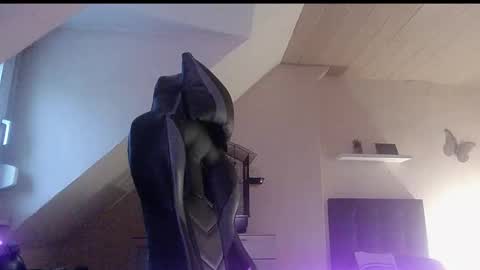 doggy2629 online show from 01.06.26