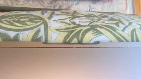 Theprinceofdarkness online show from 01.14.26