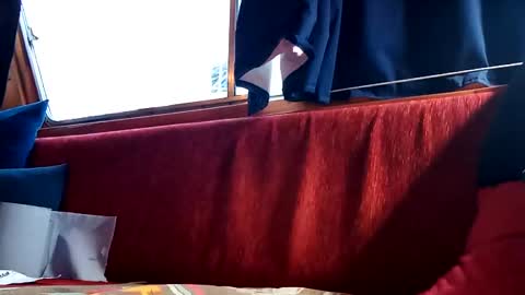 doghouseblue online show from 01.13.25