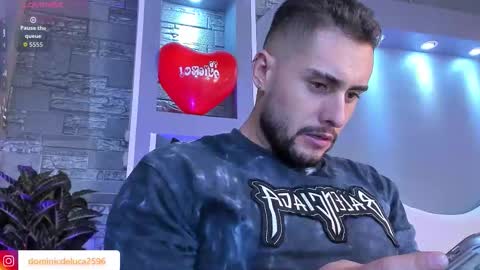 Snapshot of dominic_de_luca chatting on 02.17.26 dominic de luca online show from 02.17.26