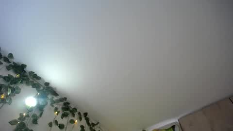 Snapshot of dominic_sofia chatting on 06.18.26 dominic_sofia online show from 06.18.26