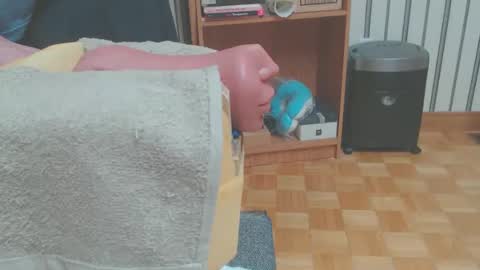 Don online show from 03.29.26