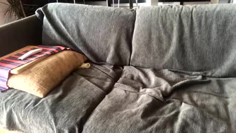 Alfredo online show from 01.14.25