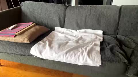 Alfredo online show from 10.07.25