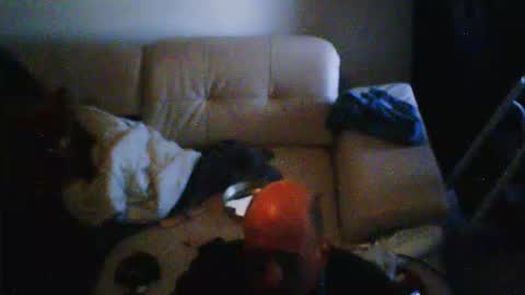 donosus online show from 02.28.26