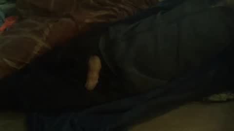 Hello  welcome to Slutsville  I am the Naked Chef  really  but you may call me Peter online show from 02.11.25