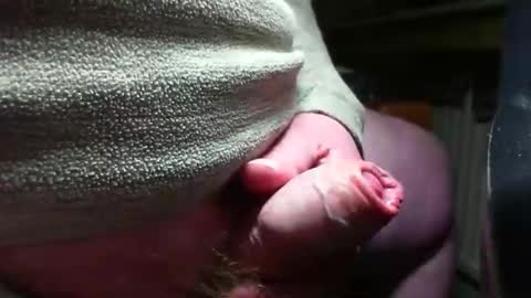 doscard online show from 12.14.24