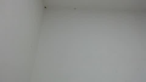 drako_monstercock online show from 01.17.26