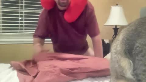 Dr of Boobs and Bras online show from 11.27.25