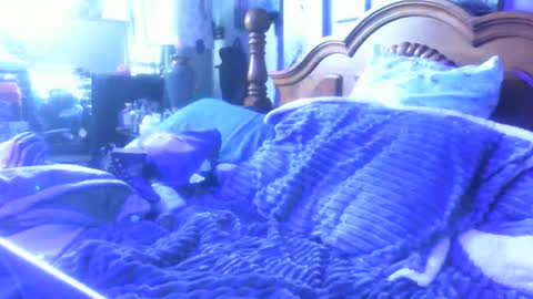 dreaded_folks online show from 12.16.25