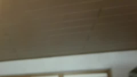 Dreambob online show from 12.21.25