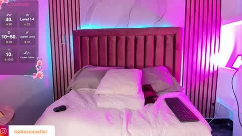 Snapshot of dreammatell_ chatting on 01.28.25 Dream Matell online show from 01.28.25