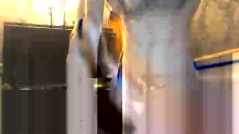 drippydickboy online show from 01.13.26