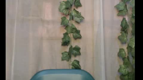 linda online show from 09.29.25