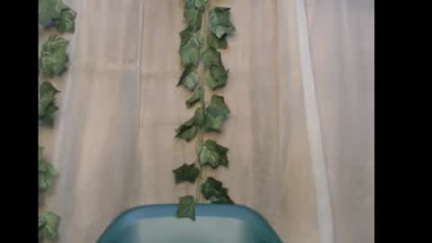 linda online show from 01.10.26