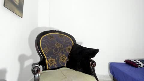 drizsx online show from 01.15.25