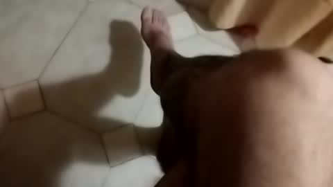 Snapshot of dthedog12 chatting on 09.30.25 dthedog12 online show from 09.30.25