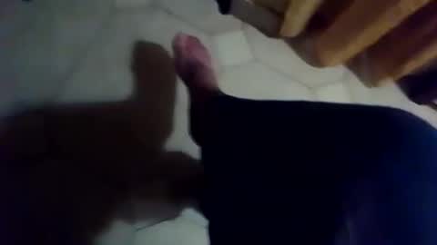 Snapshot of dthedog12 chatting on 11.25.25 dthedog12 online show from 11.25.25