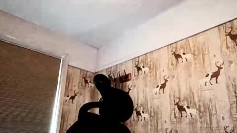 dulac81 online show from 09.19.25