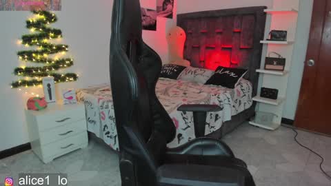 Snapshot of dulce_alice_ chatting on 12.10.24 ALICE online show from 12.10.24