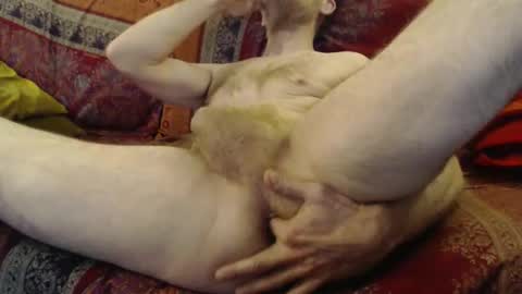 dunant76 online show from 03.21.26