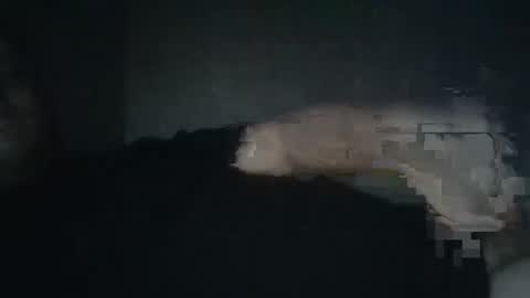 dxjbre online show from 01.08.26