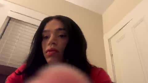 Dynasty online show from 12.20.24