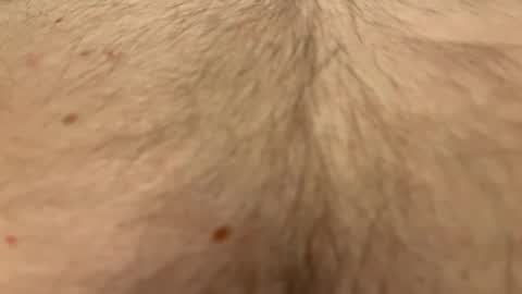 French Guy online show from 04.01.26